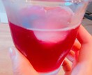 塩麹、変わり麹、手作りお味噌などの作り方教えます 便秘ぎみの子供を持つママさん、子供と一緒に腸活しませんか？ イメージ4