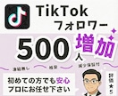 Tiktokフォロワー500人～増やします 【30日間の減少保証付き！】収益化のお手伝いをします！ イメージ1