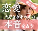 限定【7月末まで】彼の気持ち♥潜在意識♥占います 【大人気メニュー♡数量限定だよ】ルノルマン×タロットのW鑑定 イメージ1