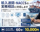 輸入通関・NACCSの実務相談に対応します 「現場経験をもとに実務上の疑問を整理します」 イメージ1