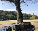 大絶賛された映えるキャンプ飯の作りかた教えます キャンプ場で15分で完成！下準備や当日の調理の流れ イメージ2