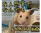 ピアヘルパー資格有。コロナ疲れ、様々なお話聴きます ♪友人感覚で気軽にお話してください(*^▽^*) イメージ1