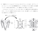 医学部卒が医療系、生物系大学院の試験対策します 医療系学部の基礎医学、定期テスト、大学院、国試対策を致します イメージ5