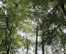 あなたの心が真ん中になれるお手伝いをします 書いて頭の中を整理しませんか？あなたの中の答え、みつかる。 イメージ2