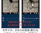格安で女性にだけ頼みたいモザイクボカシ処理します 大事な部分や知られたくない部分の処理は女性へお願いしたい方 イメージ3