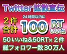 Twitterで２件で100RTまで拡散宣伝します RTは全て日本人のアクティブユーザー！総フォロワー30万人！ イメージ1