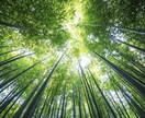 全方位の不調・不運の連鎖を断ち、幸せを引き寄せます 人生が整い始める“浄化の起点”あなたの運気を底上げします イメージ2