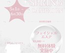 Canvaで作る魅せるチラシデザインします 忙しいあなたに!!!想い伝わるデザイン制作 イメージ2
