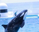 映える写真撮ってきます ブログやインスタ、資料写真を代行して撮影してきます。 イメージ1