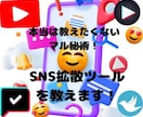 SNS拡散ツールを教えます 本当は教えたくないマル秘術！自分のものにして稼ぐ！！ イメージ1