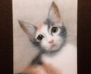 ペットの肖像画、似顔絵、イラストの描き方、教えます 色鉛筆でリアルなペットの肖像画を描きたい方！ イメージ5