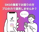 プロがSNS運用代行いたします Instagram,TikTokの運用を行います。 イメージ1