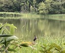 あなたの性格と相手の気持ち、未来を占います 何をしても上手くいかない方...アドバイスさせてください イメージ3