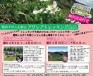 目をひくチラシ・フライヤーお作りします デザイン業に携わるスタッフが納得いくものを格安で作成！ イメージ3