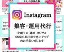 Instagram１ヶ月コンサルティングします ゼロからの運用開始1ヶ月で1000フォロワー以上の実績があり イメージ1