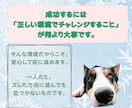 ゼロから商品が売れるようになるコンサルやります はじめての商品販売を成功に導くサポート イメージ6