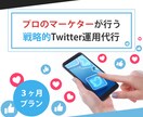 プロマーケターが3ヶ月Twitter運用代行します フォロワーアップだけでなく集客・売り上げに繋げたい方向けです イメージ5