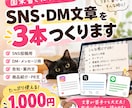 箇条書きからSNS・DM文章を3本作ります 伝えたいことを送るだけ！投稿やDMの文章作りをお手伝い イメージ1
