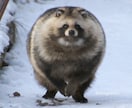 今日あったこと話したいこと悩み相談なんでも聞きます 話したいこと話して気分すっきりしませんか！！ イメージ1