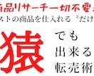 自分で調べる必要が一切ない、商品リストを暴露します 時間がないあなたでもOK！仕入れて売るだけの商品リスト90 イメージ1
