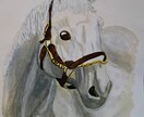 動物ならなんでも！ペットの素敵な肖像画を描きます 犬、猫他、鳥類、爬虫類、魚類、昆虫なども！ イメージ1