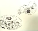 お料理のイラスト描きます お店のメニューやPR・POPに、ペン画のお洒落な雰囲気を！ イメージ1