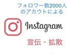 簡単☆Instagramにて宣伝・拡散します 最安！Instagramを駆使して一気に拡散します！ イメージ2