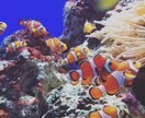 お客様指定の写真を撮って販売します あなたが求める1枚を代わりに撮って販売いたします！！ イメージ1