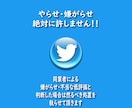 Twitter日本人が1000いいね拡散増やします ⚡日本人アカウントで拡散し増やします⚡30日間減少保証付き⚡ イメージ10