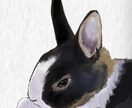 大切なペットの絵を水彩風に描きます 大切な家族のペットの写真をオシャレに水彩風に描きます イメージ4