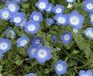 タロットカード【ワンオラクル】で占います 【お値下げ致しました！】ワンオラクル鑑定で占います^^ イメージ3