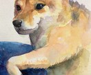 ハガキ～A4サイズで動物ちゃんの似顔絵描きます 水彩でふんわり優しく♬.*ﾟ可愛らしい表情を描きます イメージ7