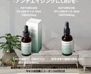 ECサイト用宣材／商材写真・合成写真を作成します 他にない目を引く画像を作成します！ イメージ5