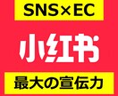 中国SNSで商品宣伝＆販売をサポートします 14億人の購買力に情報発散しませんか？ イメージ2