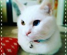 アナタのお話聞きます 愚痴や悩み話してスッキリ！！私にお手伝いさせてください。 イメージ2