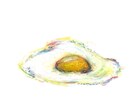やさしい手描き！クレヨンで食べ物アート描きます 飲食店・青果店向け／温かみあるPOPに イメージ3