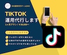 TikTok【1ヶ月】運用代行します SNS実績あるチームが対応！2023年度の販売実績200件超 イメージ1
