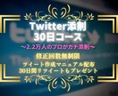 アナタのツイートを30日間添削をします 【フォロワーを増やして影響力を持ちたい方は必見です】 イメージ1