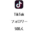TikTokフォロワー500人増やします ⭐️高品質⭐️フォロワーが増えるよう拡散します！ イメージ1