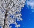 旅人フォトグラファーが安く写真加工や編集をします どんな写真でもご依頼お待ちしております イメージ3