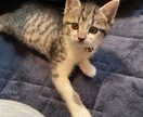 愚痴を吐き出したい方お待ちしております 誰にも言えない事等秘密厳守でお話しをしましょう イメージ1