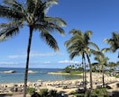 HAWAII旅行の大満足プラン作成します 毎年1回以上、ハワイに行っているので最新情報をお伝えします イメージ1
