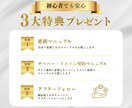 Swell代込み！格安集客ホームページを制作します 無料相談可能！初心者でもわかるマニュアル・安心サポート付き イメージ5