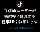 TikTok広告用のアフィ記事LPを執筆します TikTokならではの視覚的に強い記事LP作ります！ イメージ1
