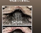 短頭種気道症候群についてご相談承ります 動物呼吸器科認定看護師が短頭種気道症候群についてご説明します イメージ3