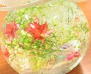 あのときの私へ—。　易占略筮法で占います ❇ もう後悔は手放しませんか ❇　“時空”を読み解く易鑑定 イメージ7