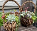 多肉植物の寄せ植えお作りします 多肉植物の専門家があなたにピッタリの寄せ植えをお作りします イメージ4