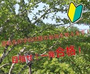 運転免許学科試験のサポートをします 目指せ一発合格！免許を取ろう！ イメージ1