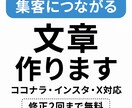 SNS＆商品ページ、集客用文章作ります ココナラ・インスタ・X集客につながる文章を作ります イメージ1