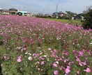 相談なんでも聞きます。秘密厳守します 20代2児の母です。愚痴や子育て恋愛などなんでもお話伺います イメージ1